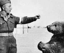 Wojtek the bear with a Polish soldier