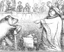 Illustration from Chambers Book of Days depicting a sow on trial 