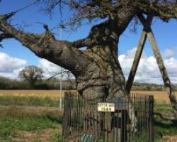Wat Tyler : l’homme qui a mené la révolte des paysans